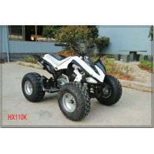 50CC 110CC KIDS ДЕШЕВЫЕ ATV АВТОМАТИЧЕСКИХ ПЕРЕДАЧ HX110K